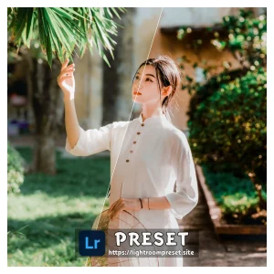 beauty presets for lightroom free