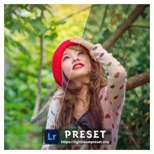 Read more about the article Film presets for lightroom download free