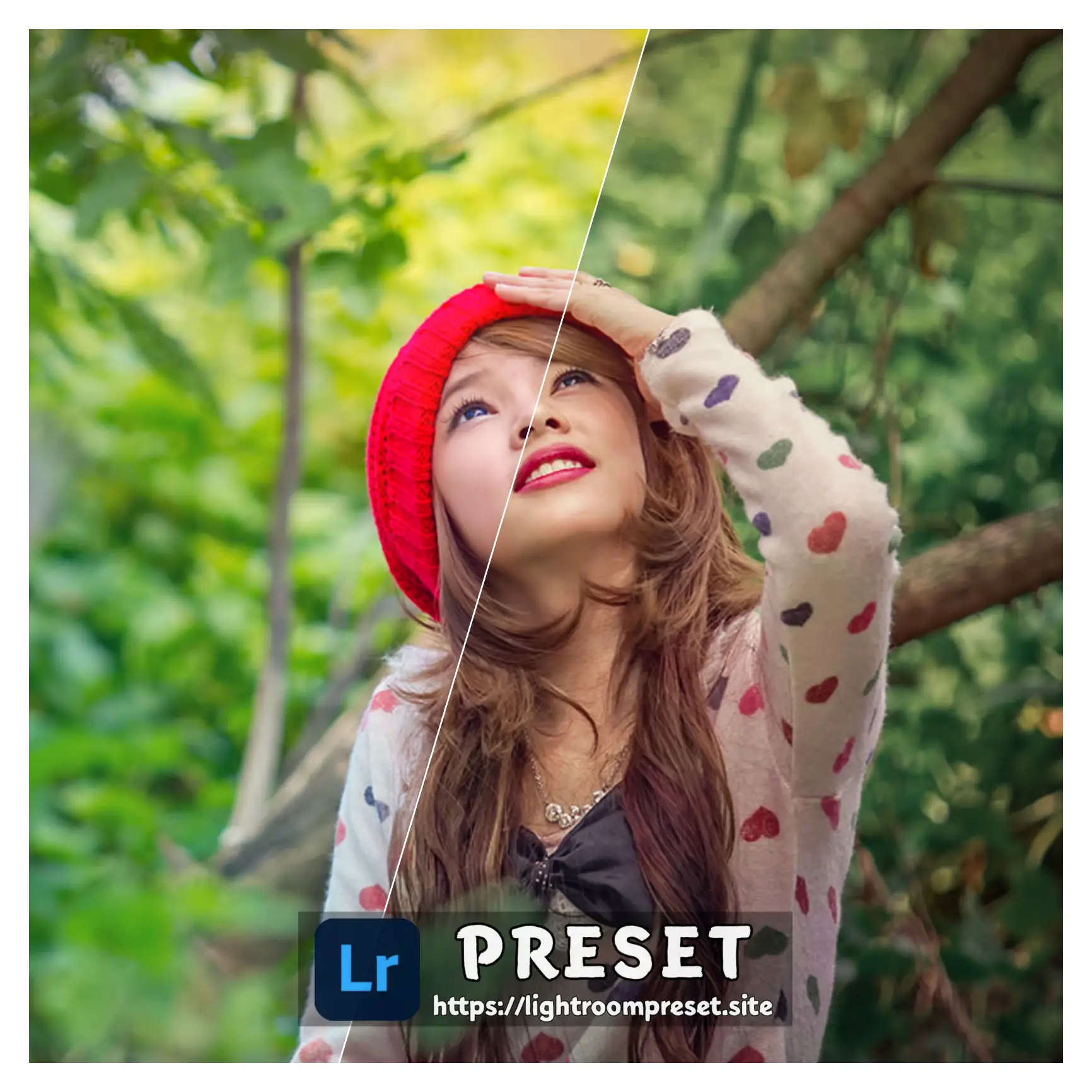 You are currently viewing Film presets for lightroom download free
