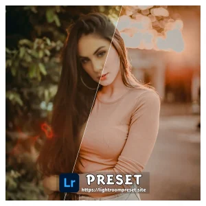 Read more about the article Free mobile lightroom presets dng