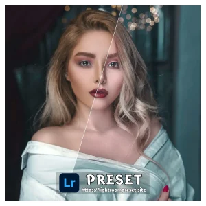 Read more about the article lightroom raw presets free download