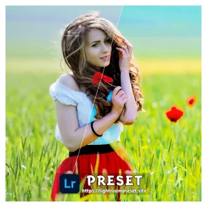 Read more about the article free lightroom presets mobile