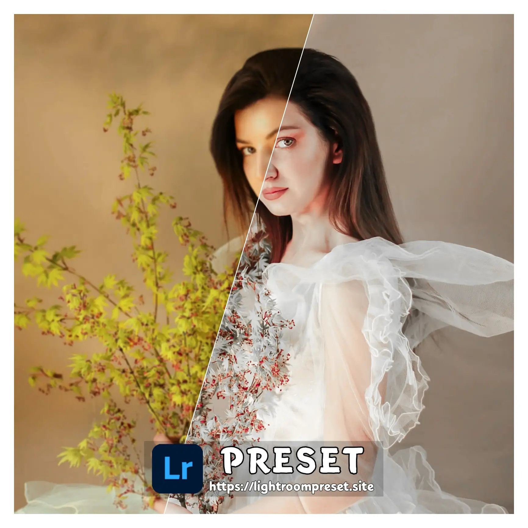 You are currently viewing lightroom presets free mobile