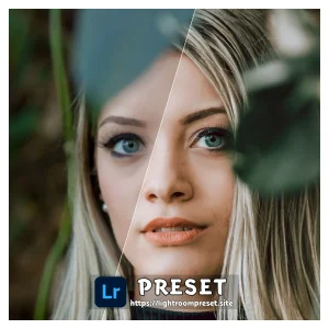 Read more about the article Lightroom dng presets Download