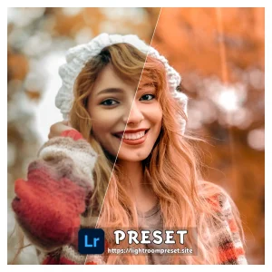 Read more about the article Free lightroom mobile presets