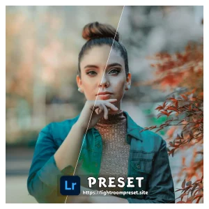 Read more about the article lightroom presets free download for pc
