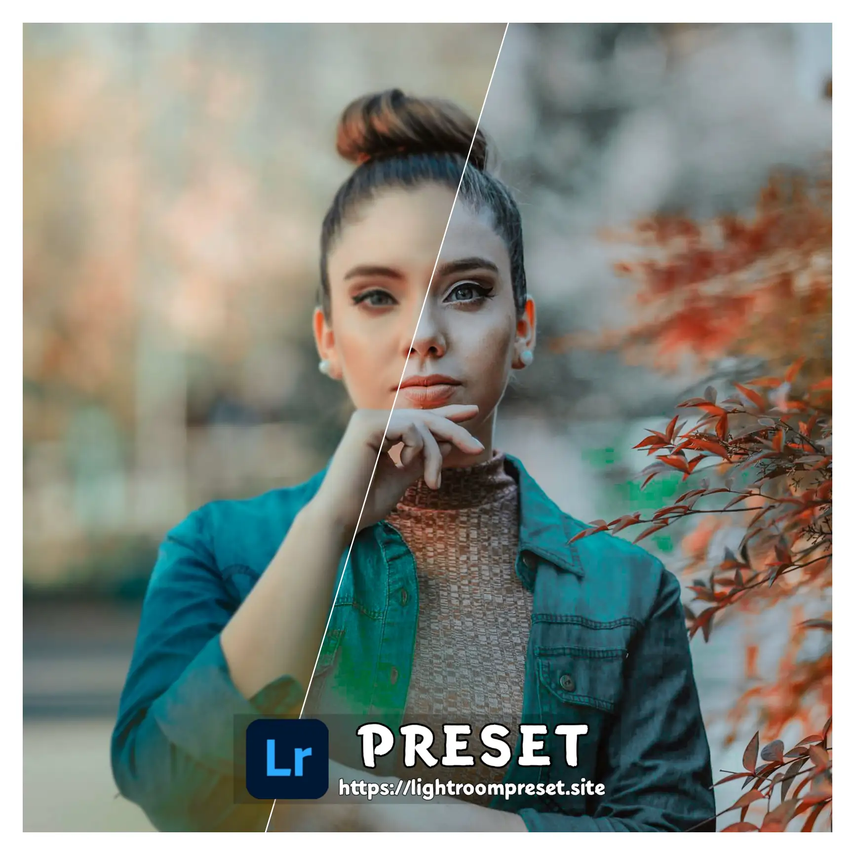 You are currently viewing lightroom presets free download for pc