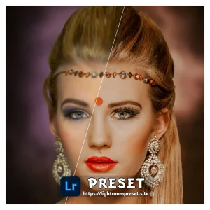 Read more about the article Lightroom presets download hd