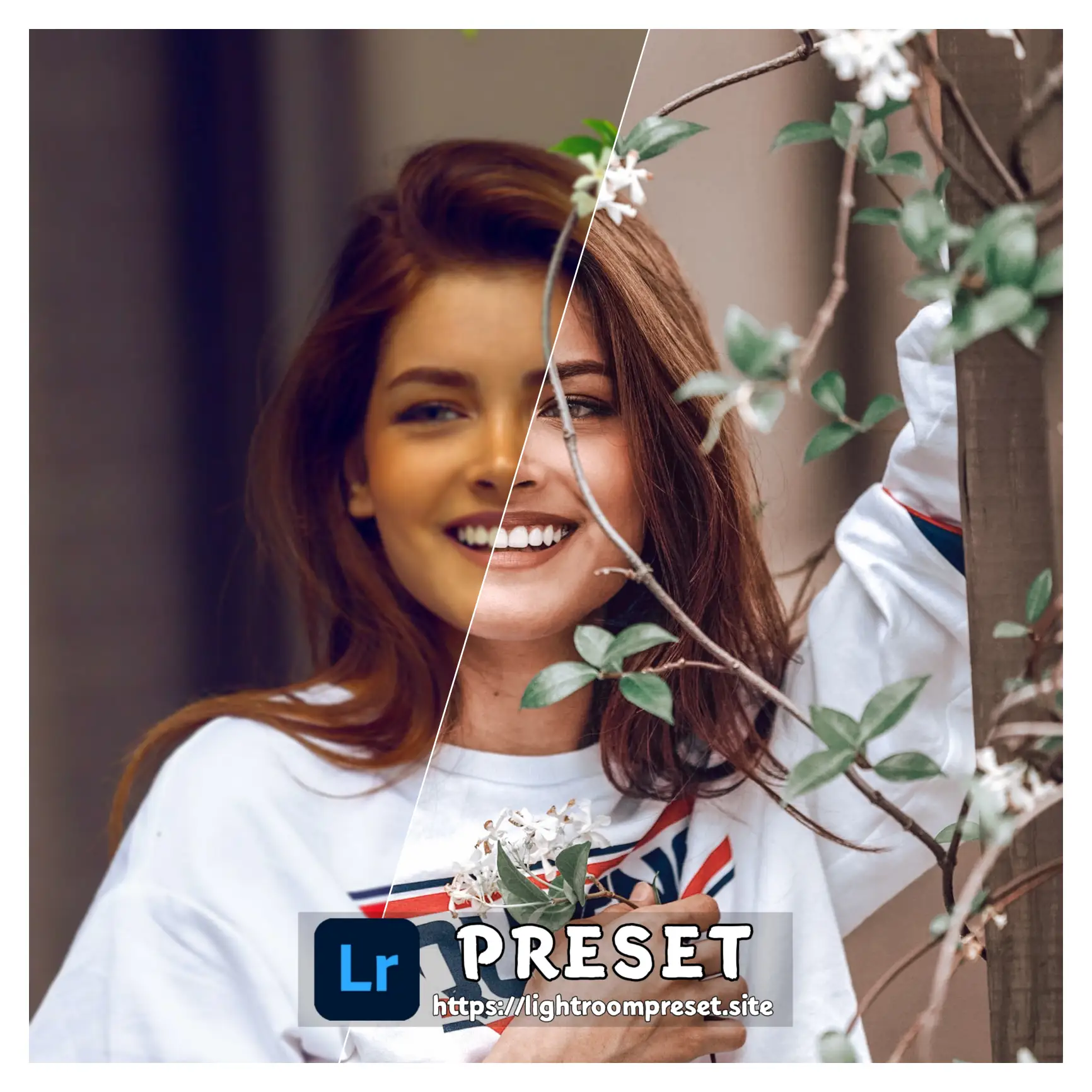 You are currently viewing nsb lightroom presets free download