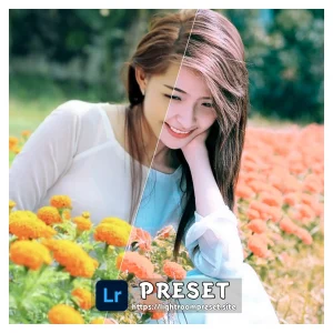 Read more about the article Lightroom background presets download free