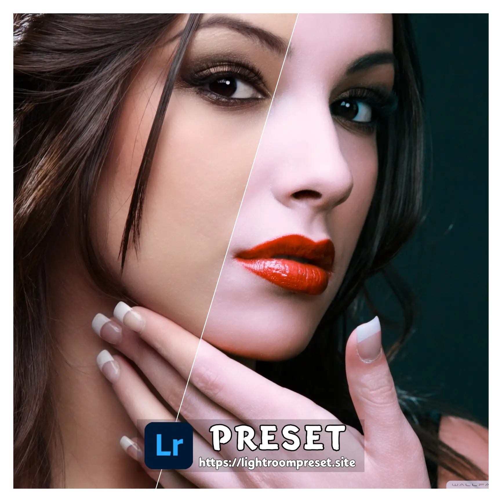 You are currently viewing Lightroom presets free download for mobile