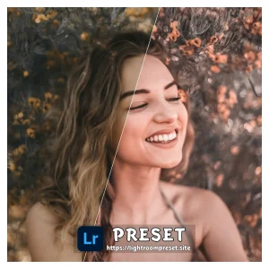 Read more about the article free lightroom mobile presets download