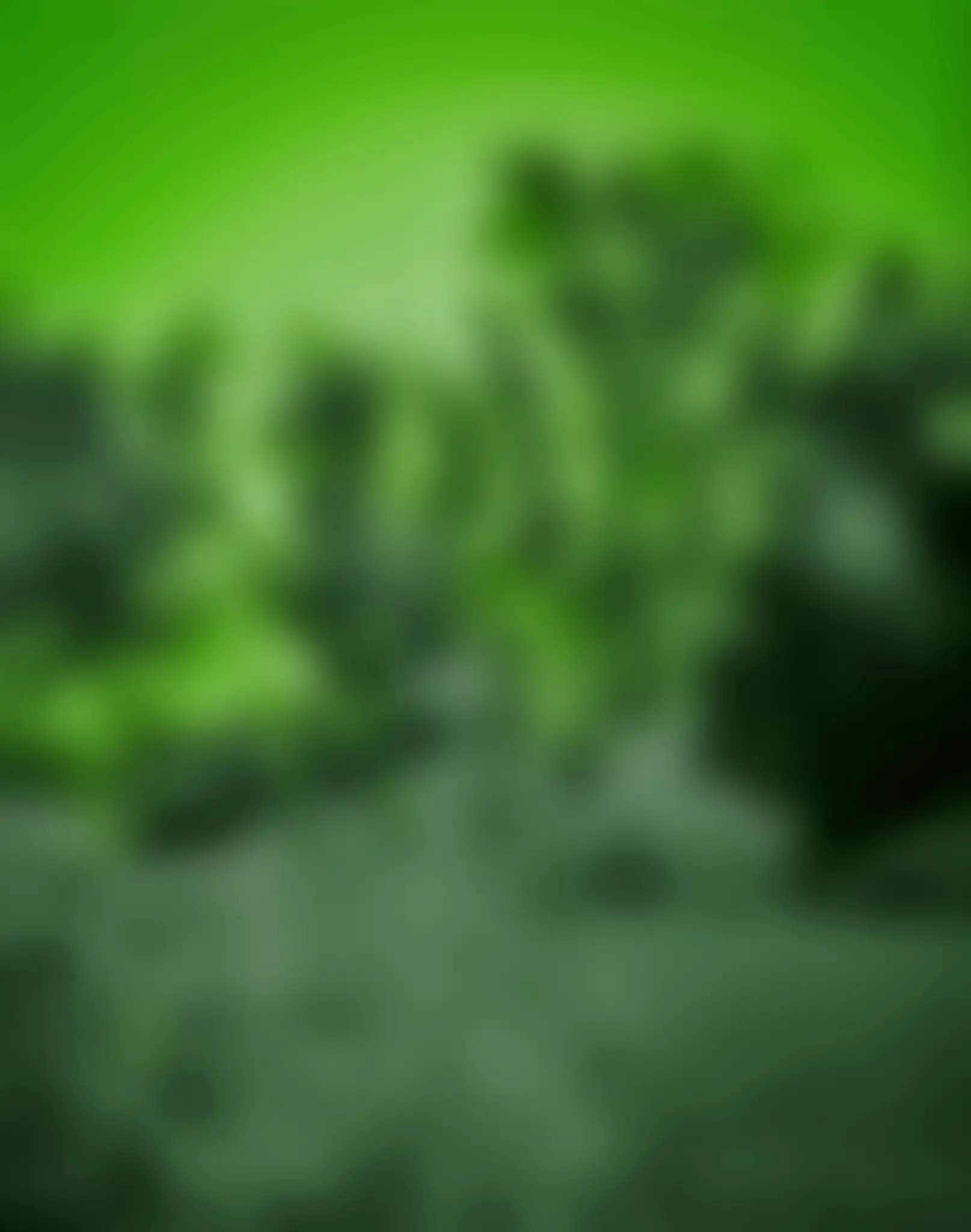 You are currently viewing Green blur background download
