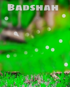 Read more about the article Badshah image editing cb background download free