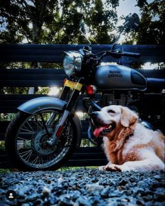 Read more about the article Bike with dog image download for editing free