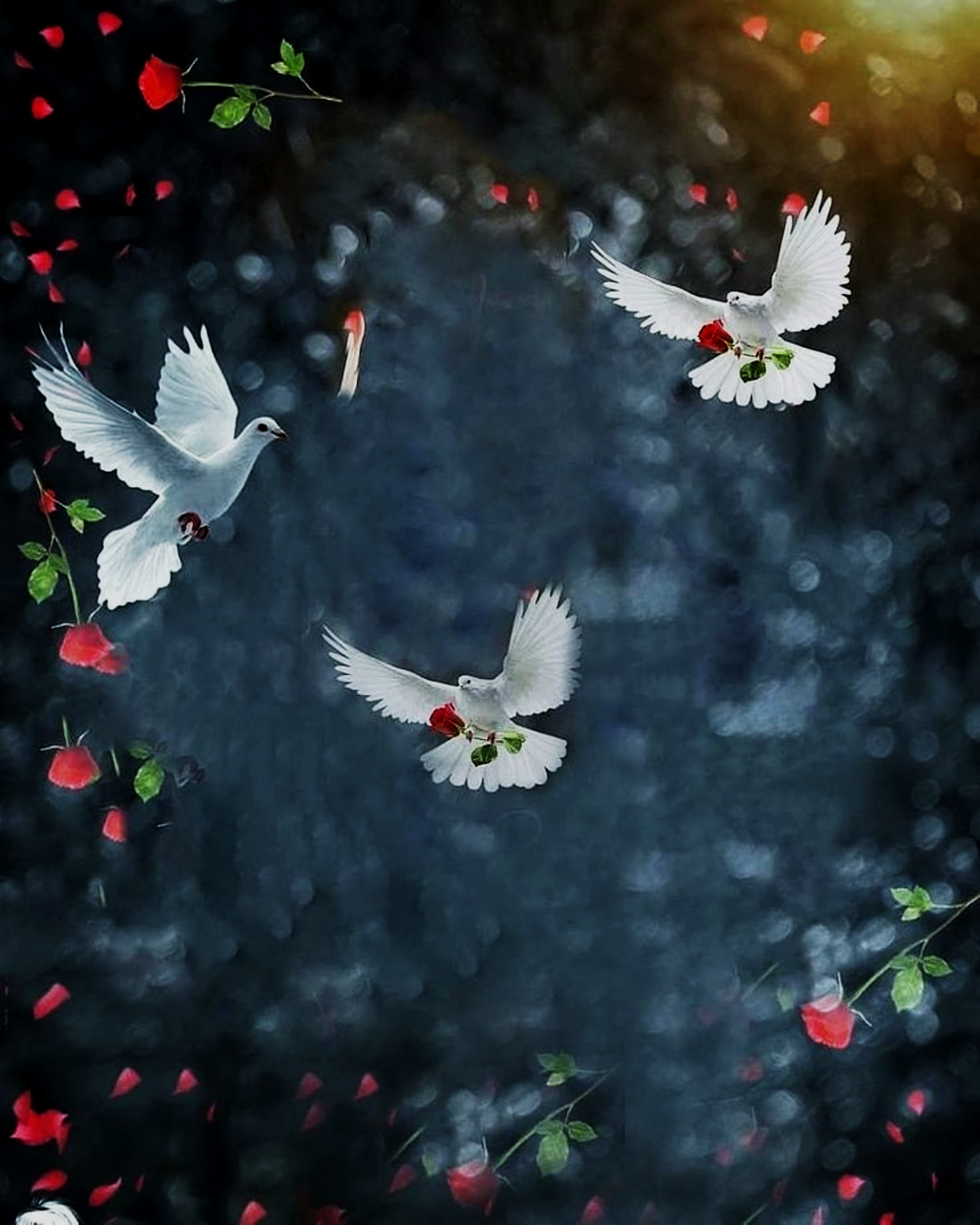You are currently viewing Birds picsart editing background download free