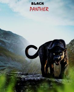 Read more about the article Black panther image editing background download free