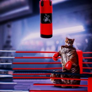 Read more about the article Boxing cat image editing background download free