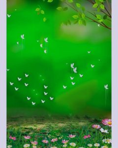 Read more about the article Green cb background hd download free