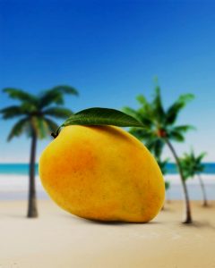 Read more about the article Mango image editing background download free