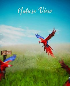Read more about the article Nature view image editing background download free