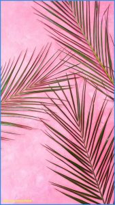 Read more about the article Pink preppy palm leaves wallpaper
