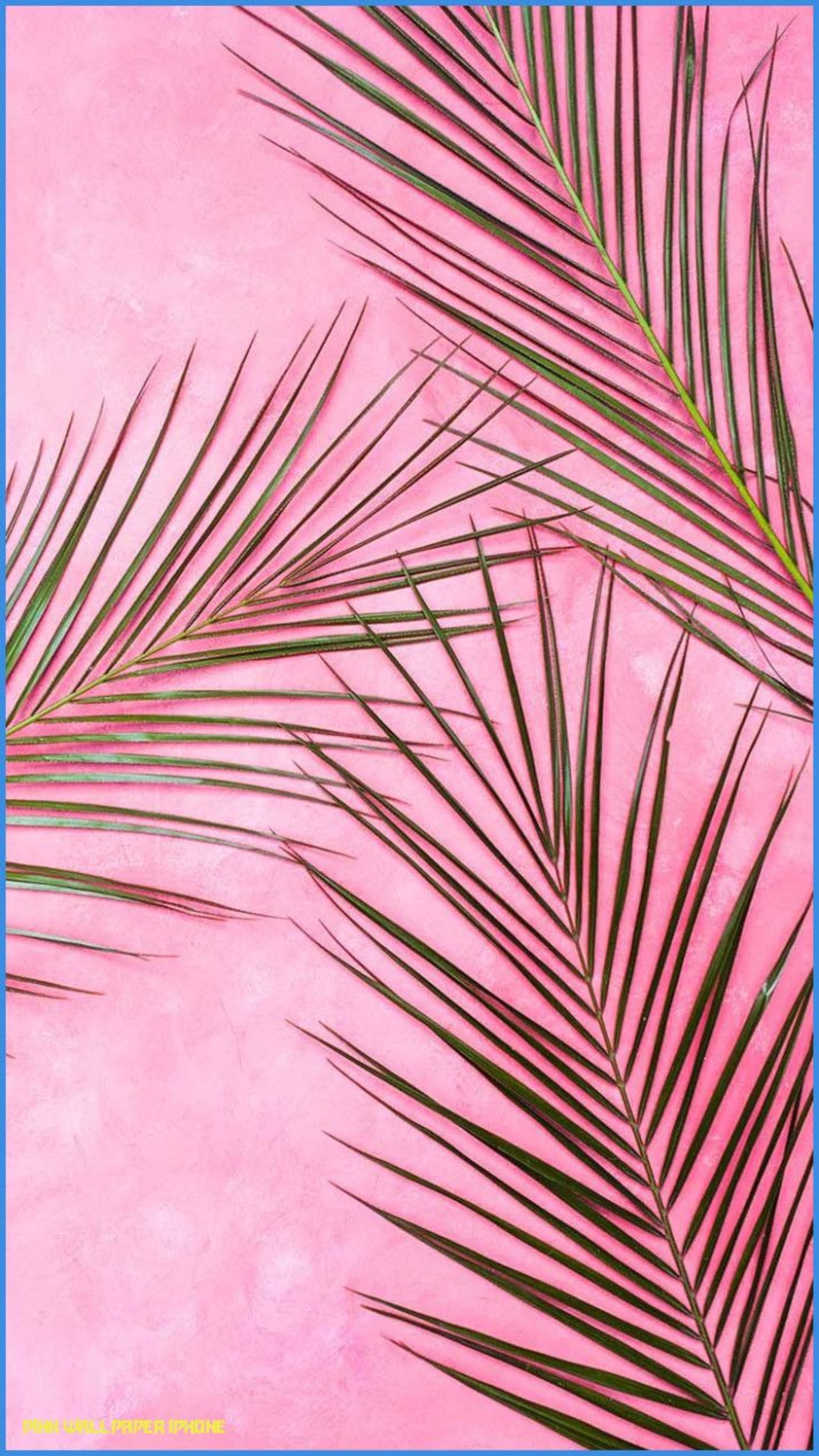 You are currently viewing Pink preppy palm leaves wallpaper