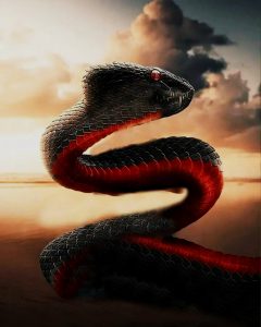 Read more about the article Snake image editing background download free