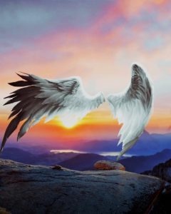 White wing image editing background download