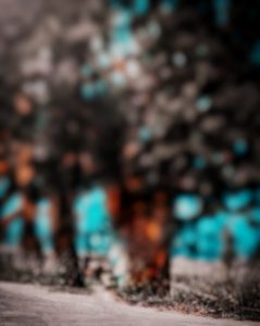 Blur tree image download free
