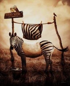 Read more about the article Zebra image editing background download free